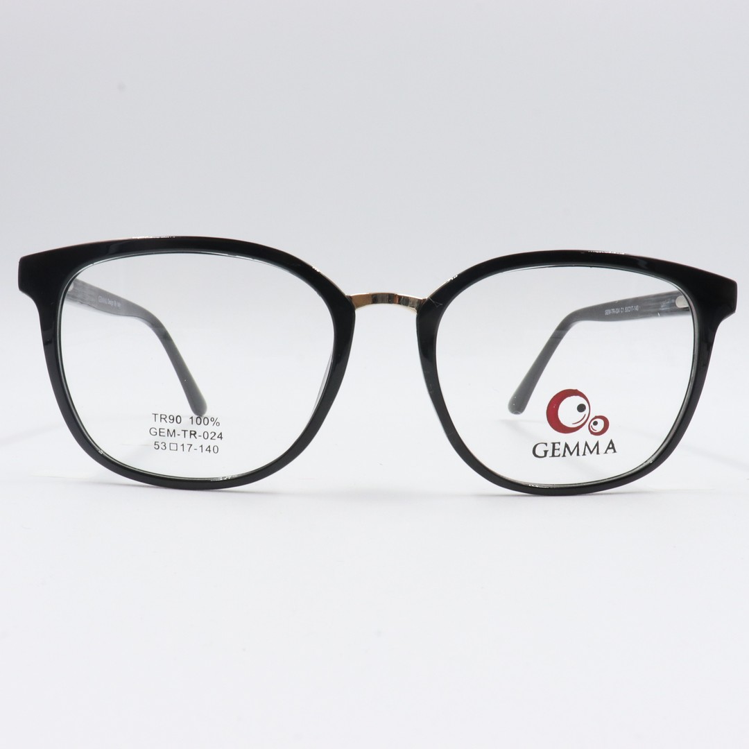 GEM-TR-024